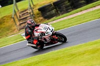 PJ-Motorsport-Photography-2020;anglesey;brands-hatch;cadwell-park;croft;donington-park;enduro-digital-images;event-digital-images;eventdigitalimages;mallory;no-limits;oulton-park;peter-wileman-photography;racing-digital-images;silverstone;snetterton;trackday-digital-images;trackday-photos;vmcc-banbury-run;welsh-2-day-enduro